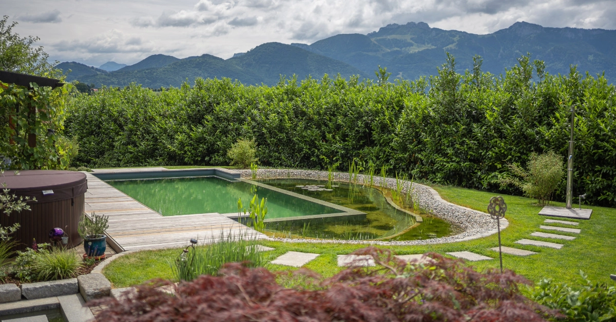 Biotop Swimming Pond im Alpenvorland eingerahmt mit einer Hecke 